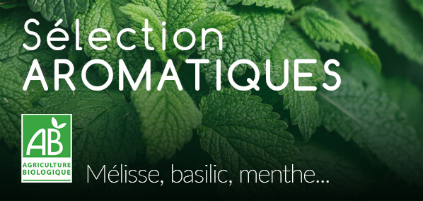 Sélection de semences aromatiques semences-biologiques-aromatiques