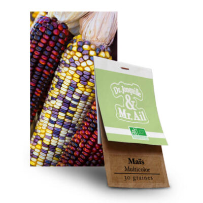 Graines Bio et Reproductibles - Maïs Zea mays Japonica
