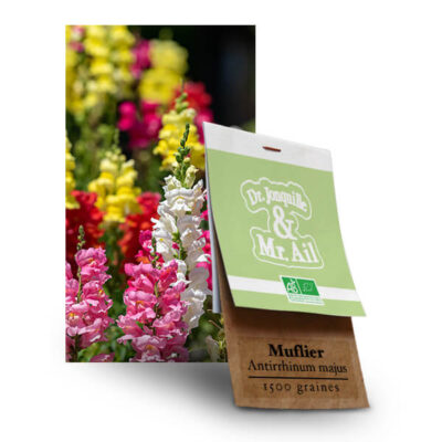 Graines Bio et Reproductibles - Muflier Antirrhinum Majus