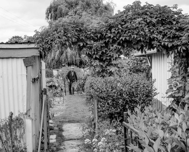 Quand le jardinage était ouvrier - Dr. Jonquille & Mr. Ail
