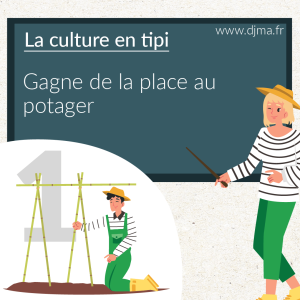 la-culture-en-tipi-gagne-de-la-place-au-potager