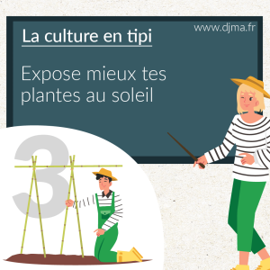 la-culture-en-tipi-expose-tes-plantes-au-soleil
