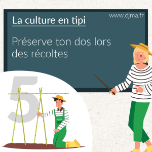 la-culture-en-tipi-préserve-ton-dos