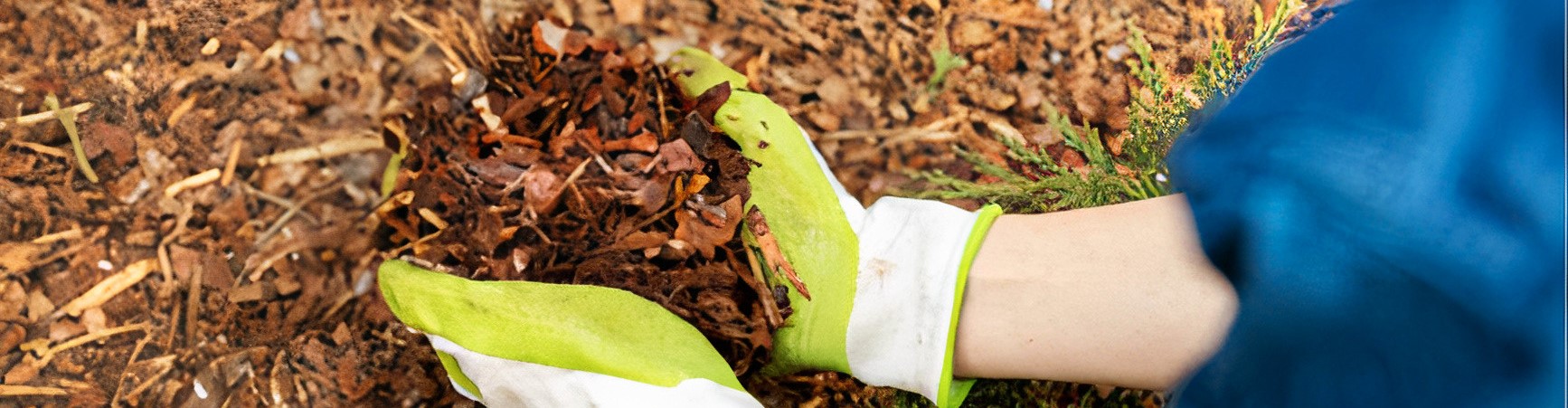 Capture d’écran (105)_auto_x2