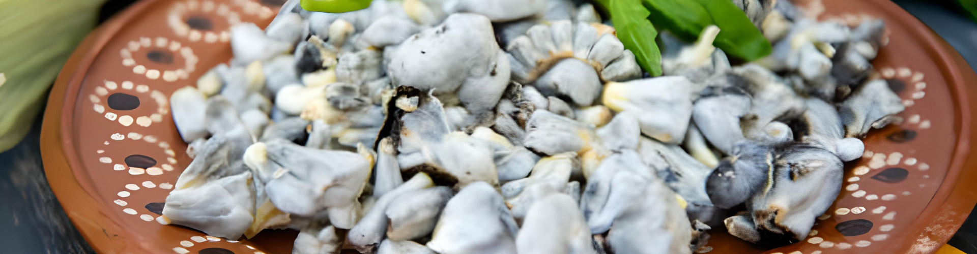 huitlacoche-blog-djma Le huitlacoche - Blog - Dr. Jonquille & Mr. Ail