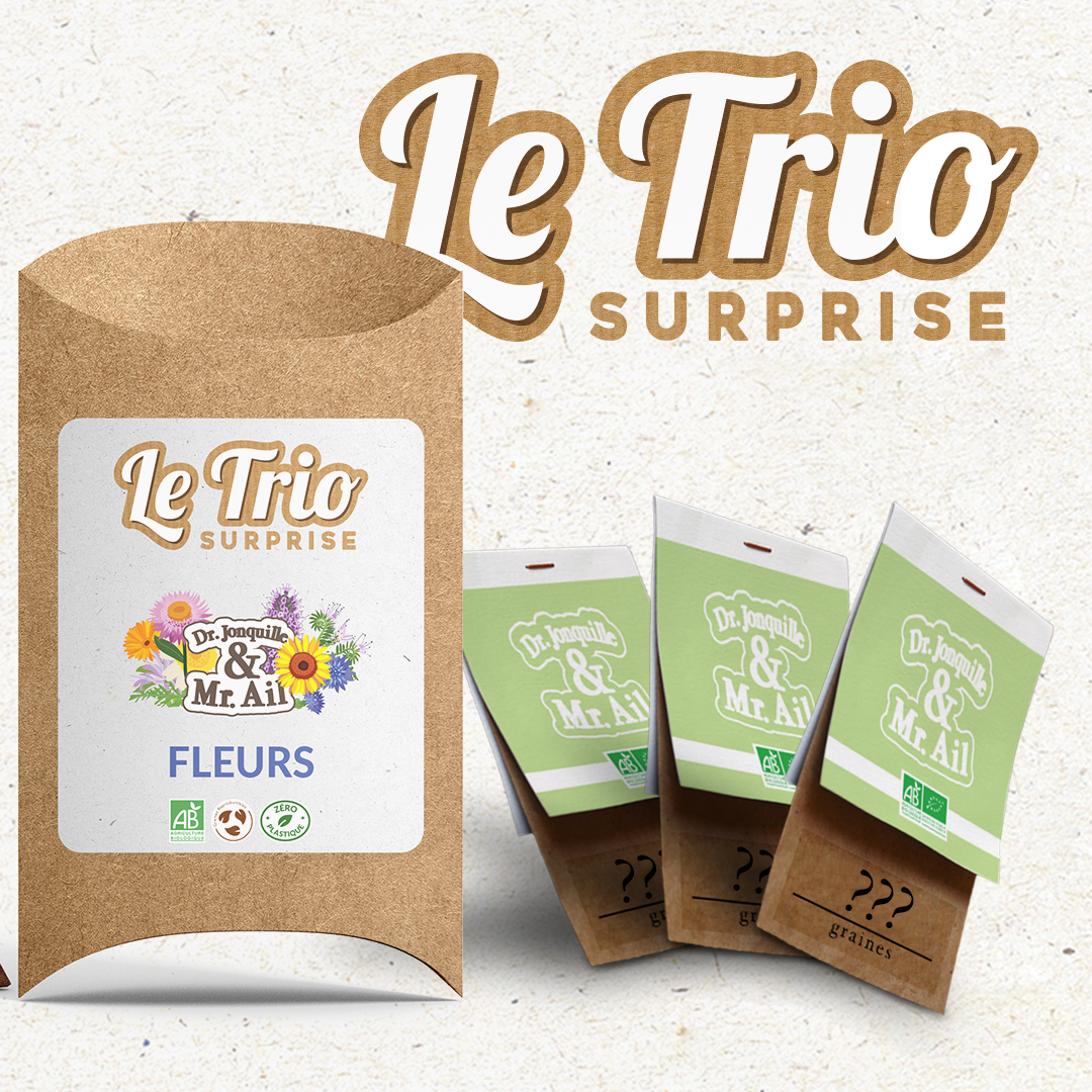 Trio - Les fleurs - Image 2 Trio surprise de fleurs - détail - semences bio et reproductibles
