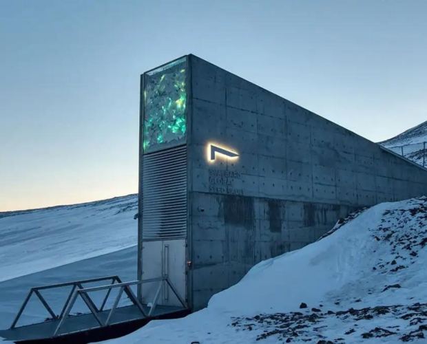 Banque de graine mondiale - Blog - Dr. Jonquille & Mr. Ail