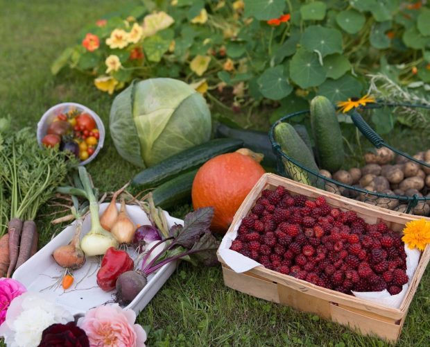 Potager autosuffisant - Blog - Dr. Jonquille & Mr. Ail