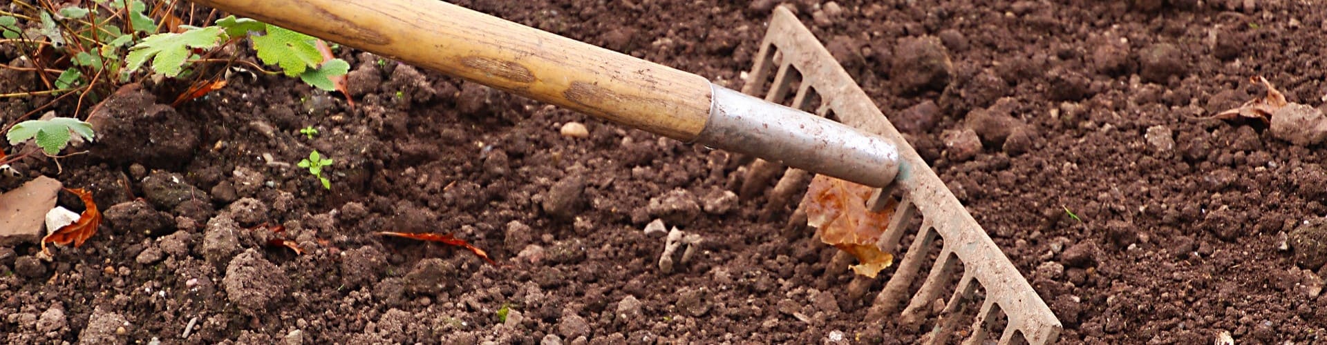 Potager autosuffisant - Blog - Dr. Jonquille & Mr. Ail