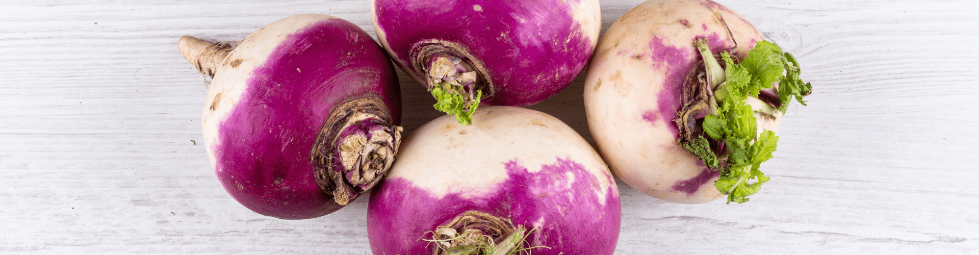 Légumes qui poussent vite - Blog - Dr. Jonquille & Mr. Ail