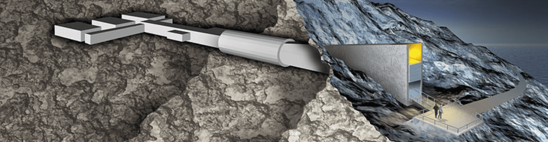 Banque mondiale de graines - Blog - Dr. Jonquille & Mr. Ail