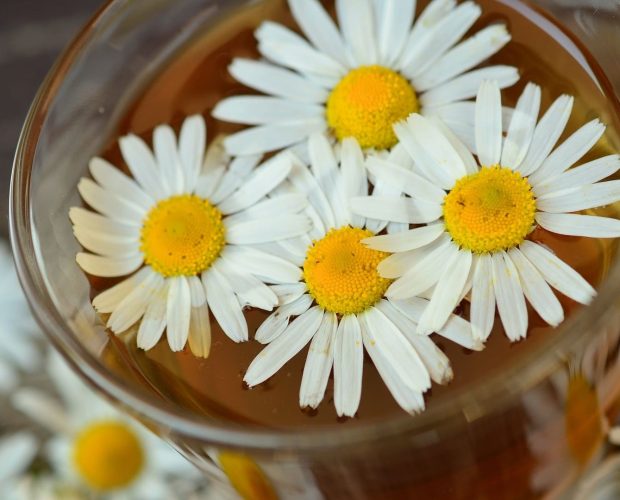 Fleurs médicinales - Blog - Dr. Jonquille & Mr. Ail