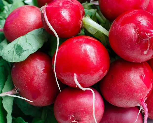 Légumes qui poussent vite