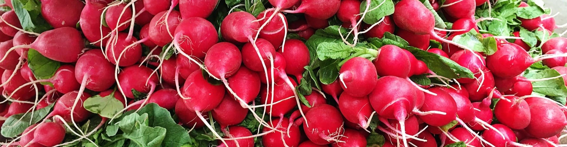 Légumes qui poussent vite - Blog - Dr. Jonquille & Mr. Ail