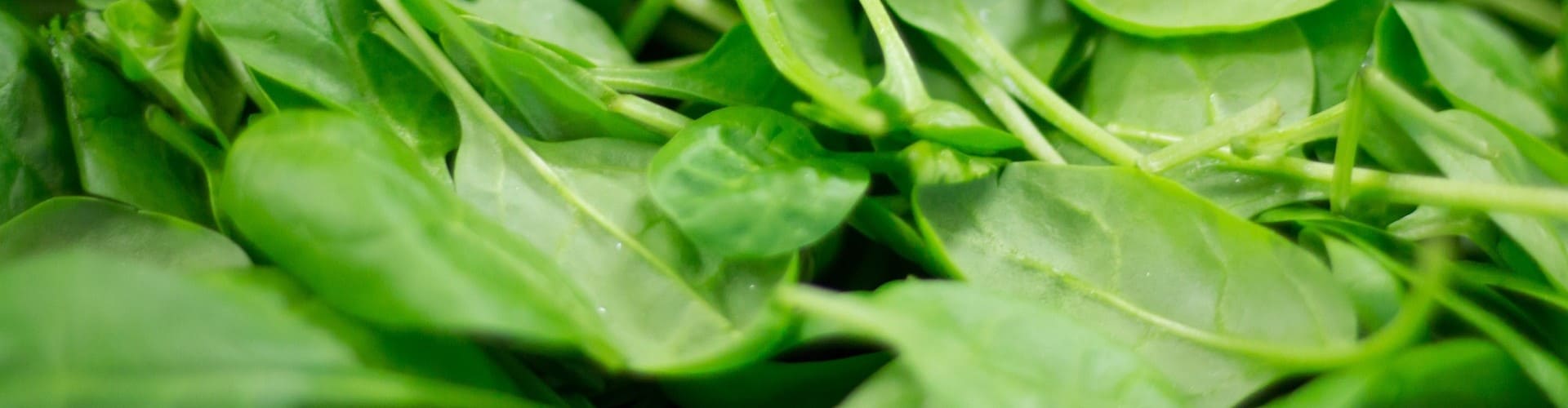 Légumes qui poussent vite - Blog - Dr. Jonquille & Mr. Ail