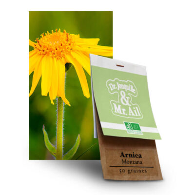 Arnica Montant - Graines Bio et Reproductibles - Dr. Jonquille & Mr. Ail
