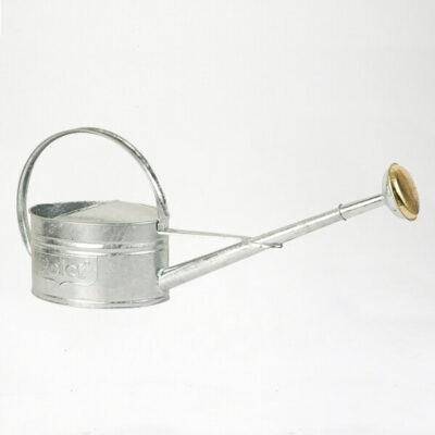 Arrosoir 3 litre en acier innoxidable - Dr. Jonquille & Mr. Ail