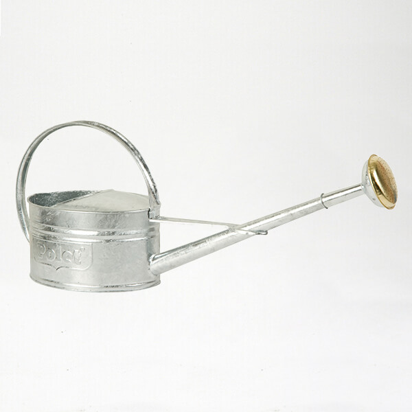 Arrosoir 3 litres Arrosoir 3 litre en acier innoxidable - Dr. Jonquille & Mr. Ail