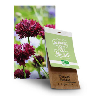 Bleuet Black Ball - Graines Bio et Reproductibles - Dr. Jonquille & Mr. Ail