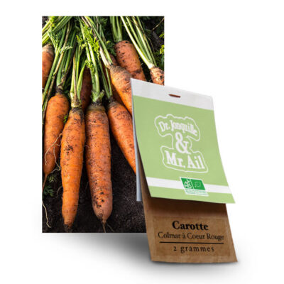 Carotte de Colmar à Coeur Rouge - Graines Bio et Reproductibles - Dr. Jonquille & Mr. Ail
