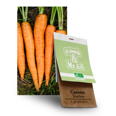 Carotte Touchon - Graines Bio et Reproductibles - Dr. Jonquille & Mr. Ail