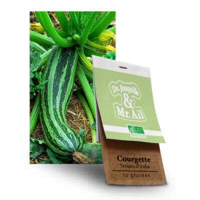 Courgette Striato d'Italia - Graines bio et reproductibles - Dr. Jonquille & Mr. Ail