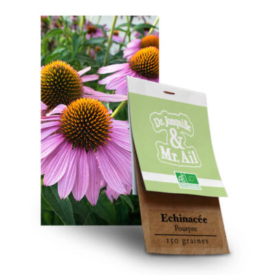 Echinacées pourpre - Graines bio et Reproductibles - Dr. Jonquille & Mr. Ail