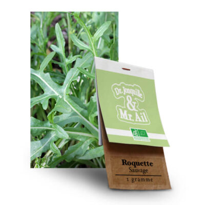 Roquette Sauvage - Graines Bio et Reproductibles - Dr. Jonquille & Mr. Ail