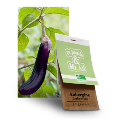 Aubergine de Barbentane - Graines Bio et Reproductibles - Dr. Jonquille & Mr. Ail