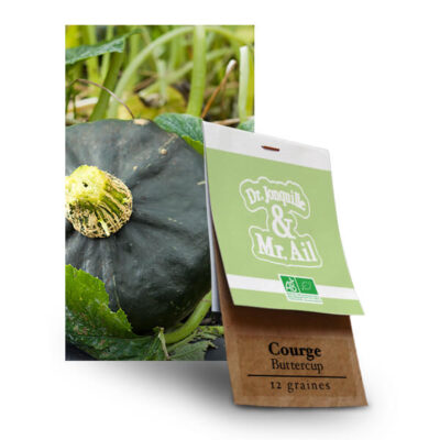 Courge Buttercup - Graines Bio et Reproductibles - Dr. Jonquille & Mr. Ail
