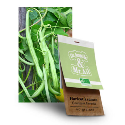 Haricot à rames vert grimpant Emerite - Graines Bio et Reproductibles - Dr. Jonquille & Mr. Ail