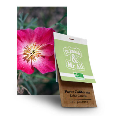 Pavot de Californie - Graines Bio et Reproductibles - Dr. Jonquille & Mr. Ail