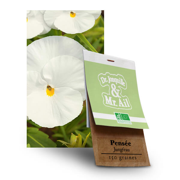 Pensée - Jungfrau - 150 graines Pensée Jungfrau - Graines Bio et Reproductibles - Dr. Jonquille & Mr. Ail